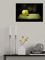 Repair wounds Poster och Canvastavla
