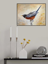 Morning Stretch American Robin Poster och Canvastavla