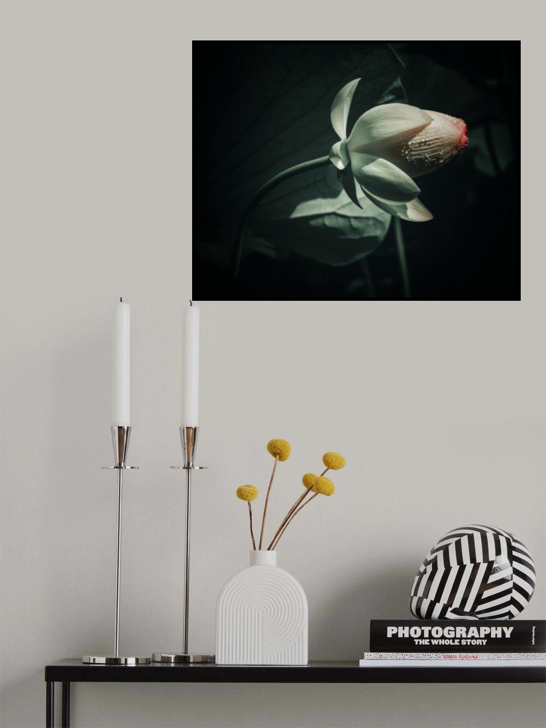 Lotus 6 Poster och Canvastavla