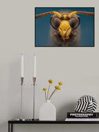 Wasp Poster och Canvastavla