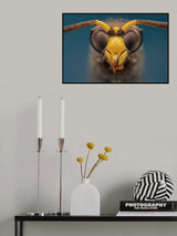 Wasp Poster och Canvastavla