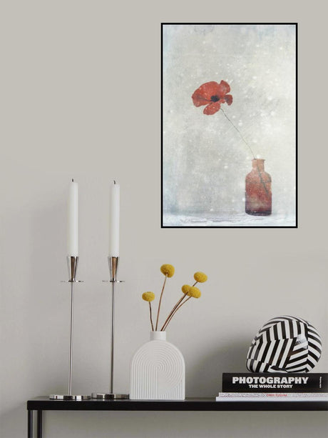 Winter Poppy Poster och Canvastavla