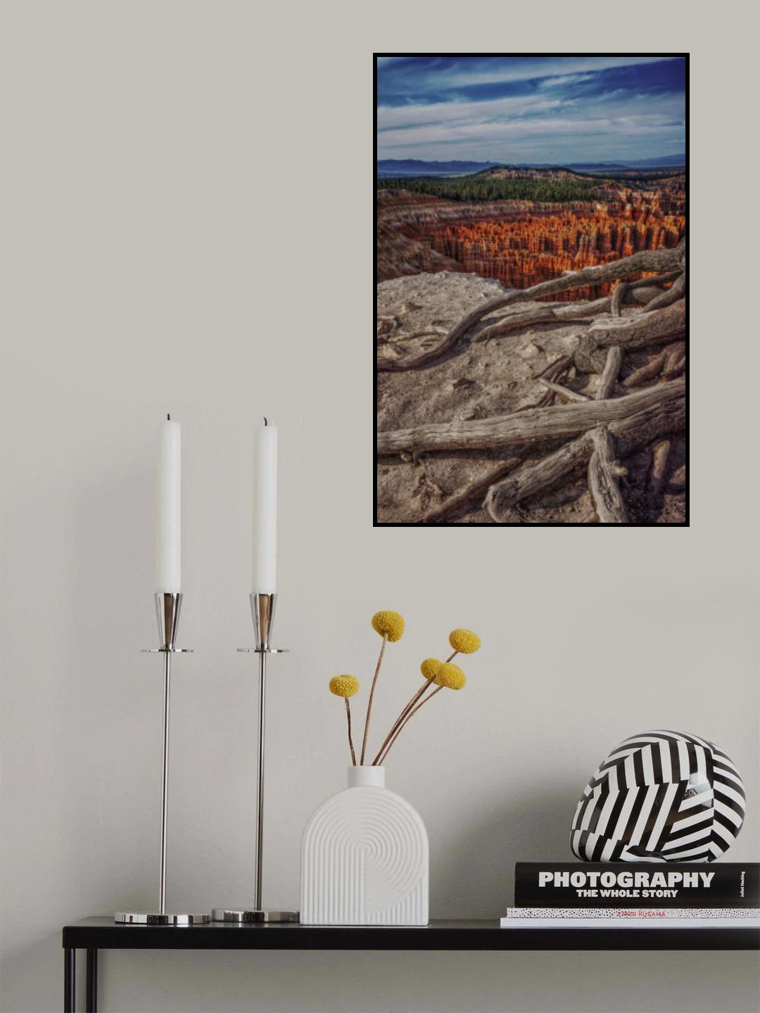 Clinging on to Life Poster och Canvastavla