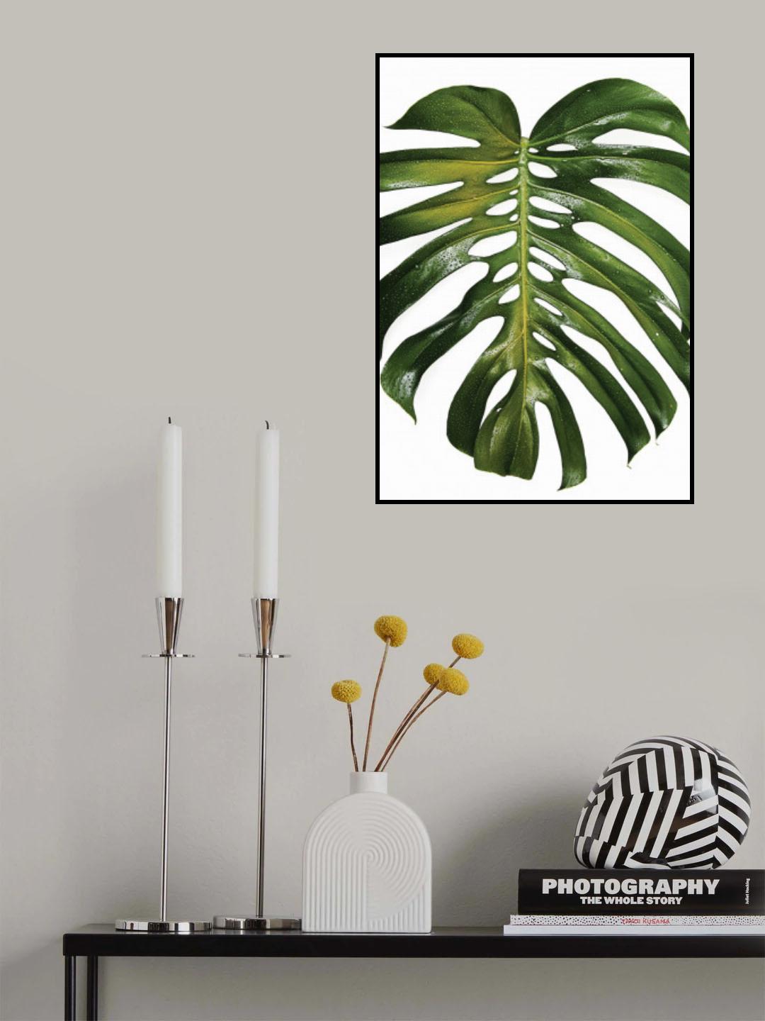 Tropical Heat Poster och Canvastavla