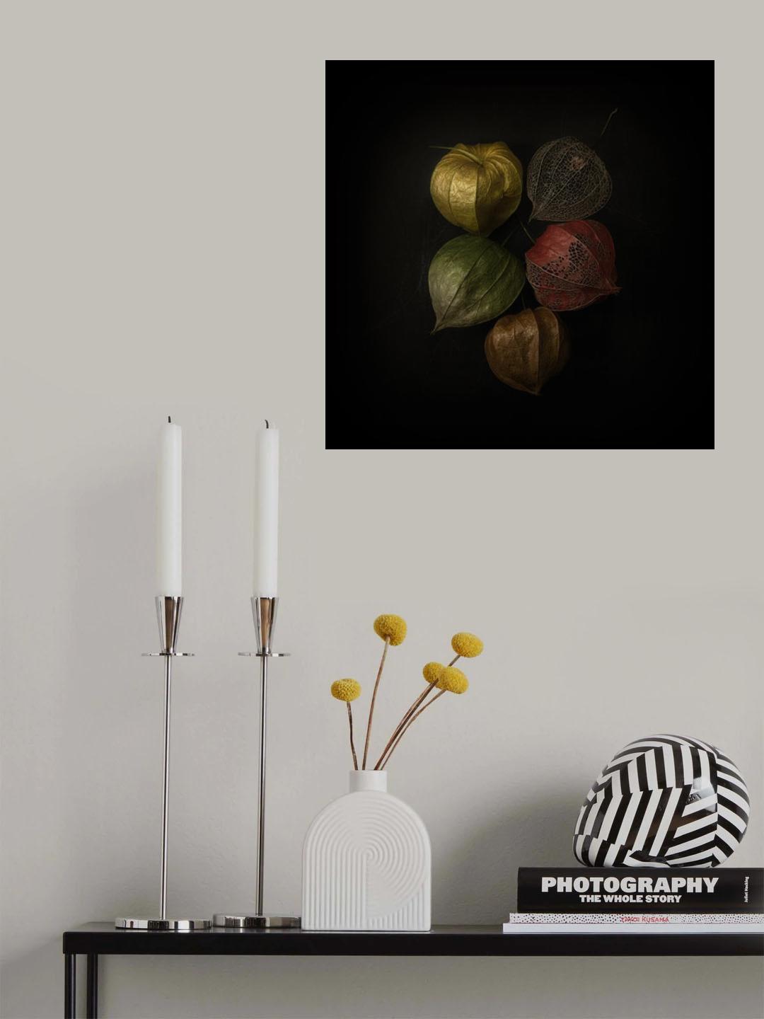 Physalis Poster och Canvastavla