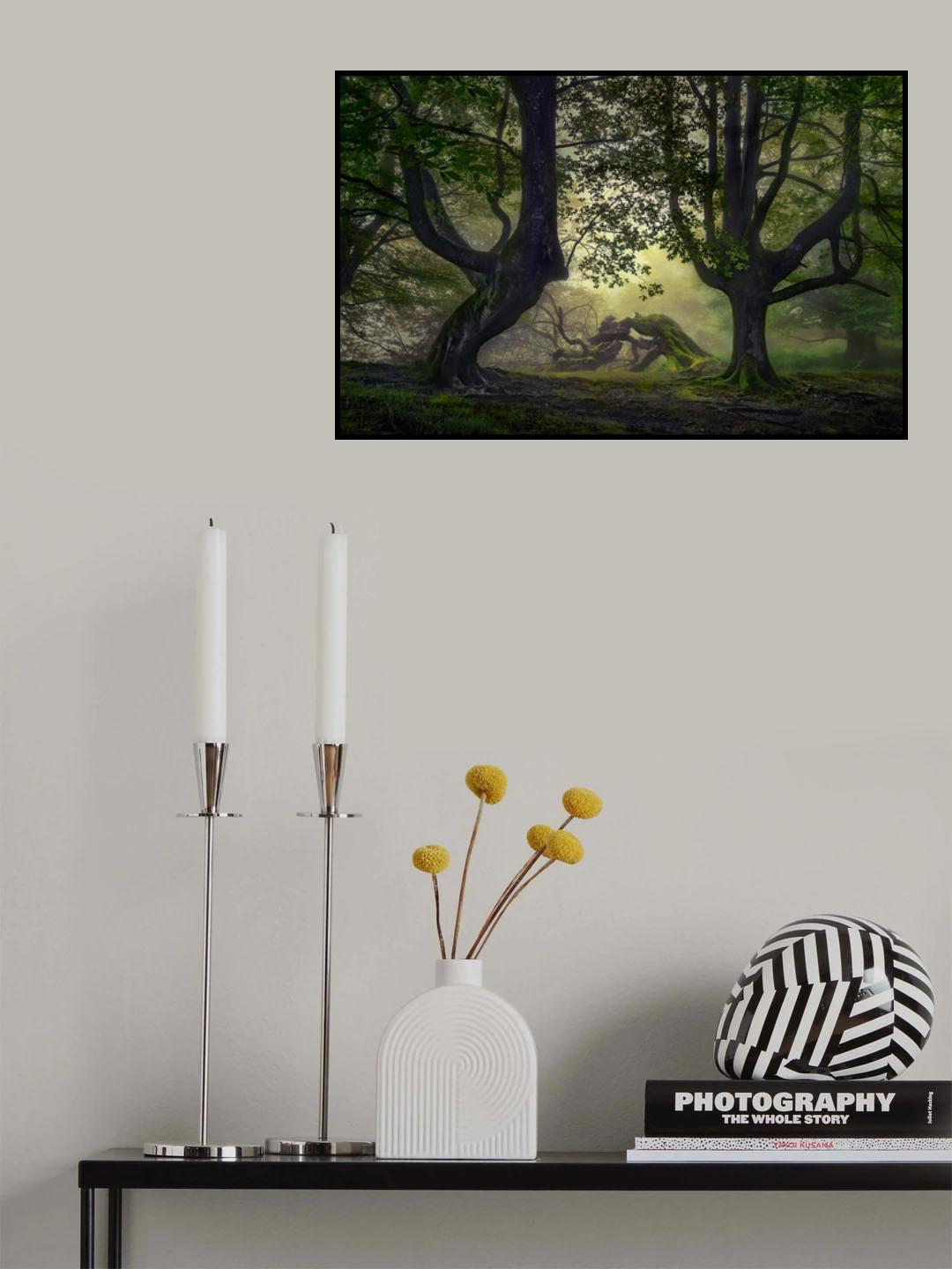 Guardians of the forest Poster och Canvastavla