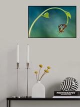 curve love Poster och Canvastavla