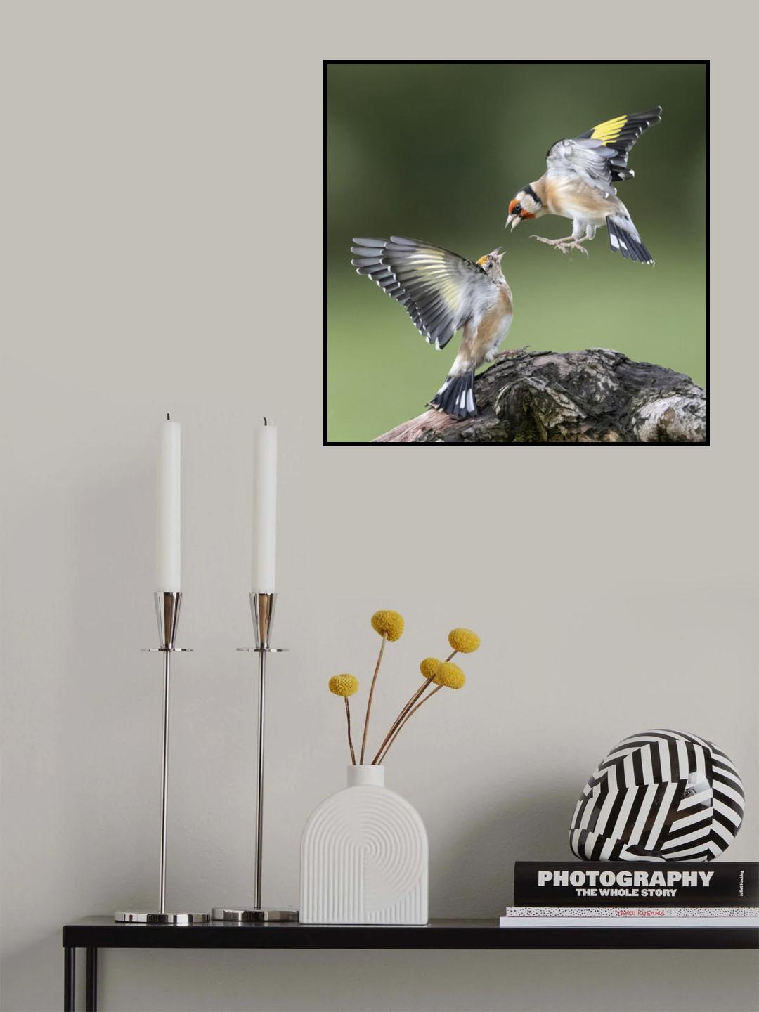 Goldfinches. "Don't talk down to Me " Poster och Canvastavla