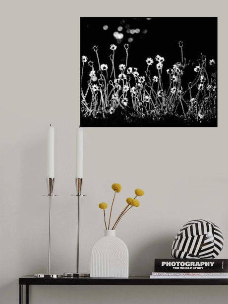 The Little Flowers Poster och Canvastavla