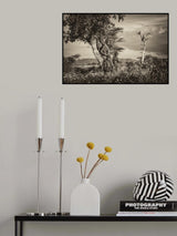 Tribes Family Poster och Canvastavla