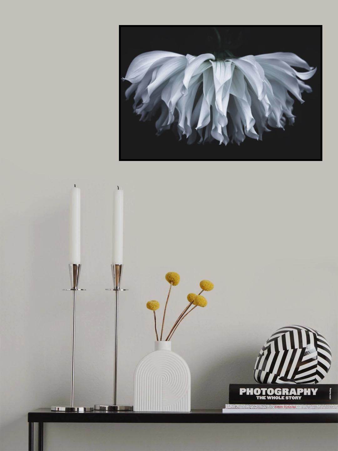 Flare flower Poster och Canvastavla