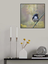 Where are the seeds? Poster och Canvastavla