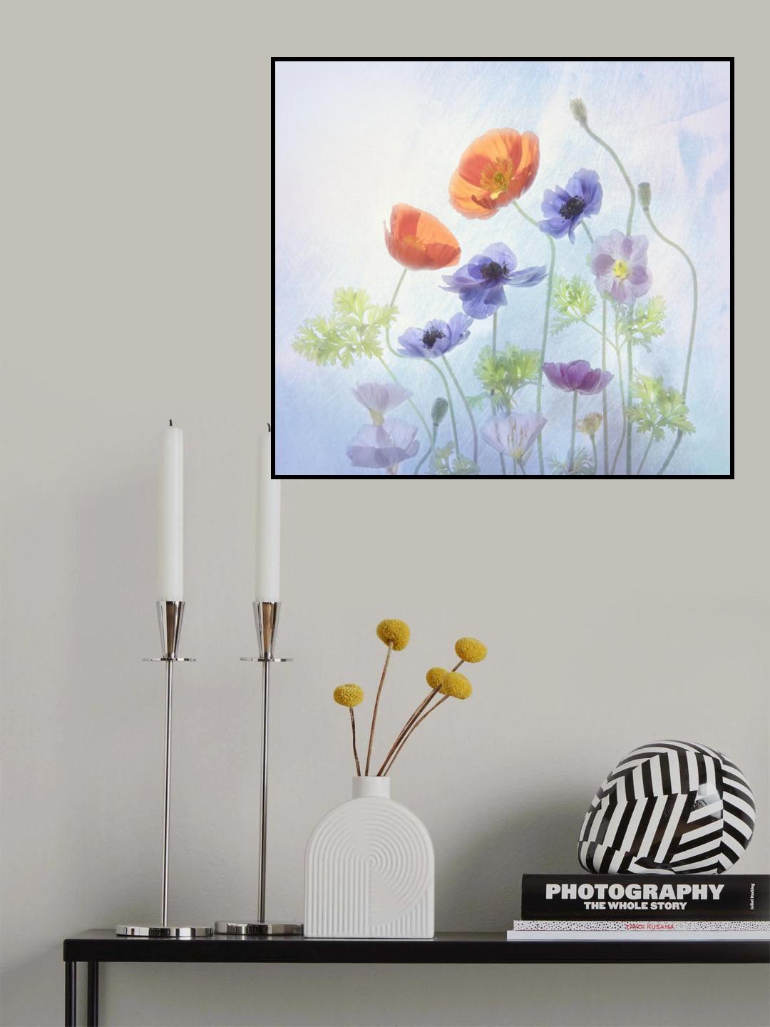 Poppy &amp; Anemone Poster och Canvastavla
