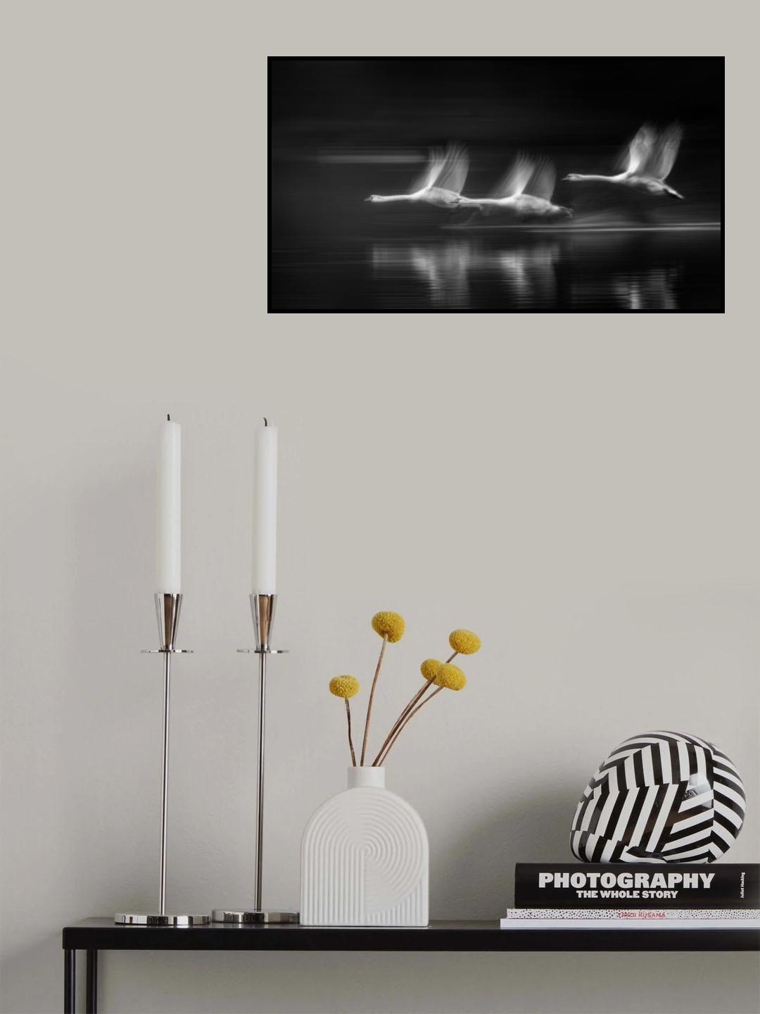 The swans in flight Poster och Canvastavla