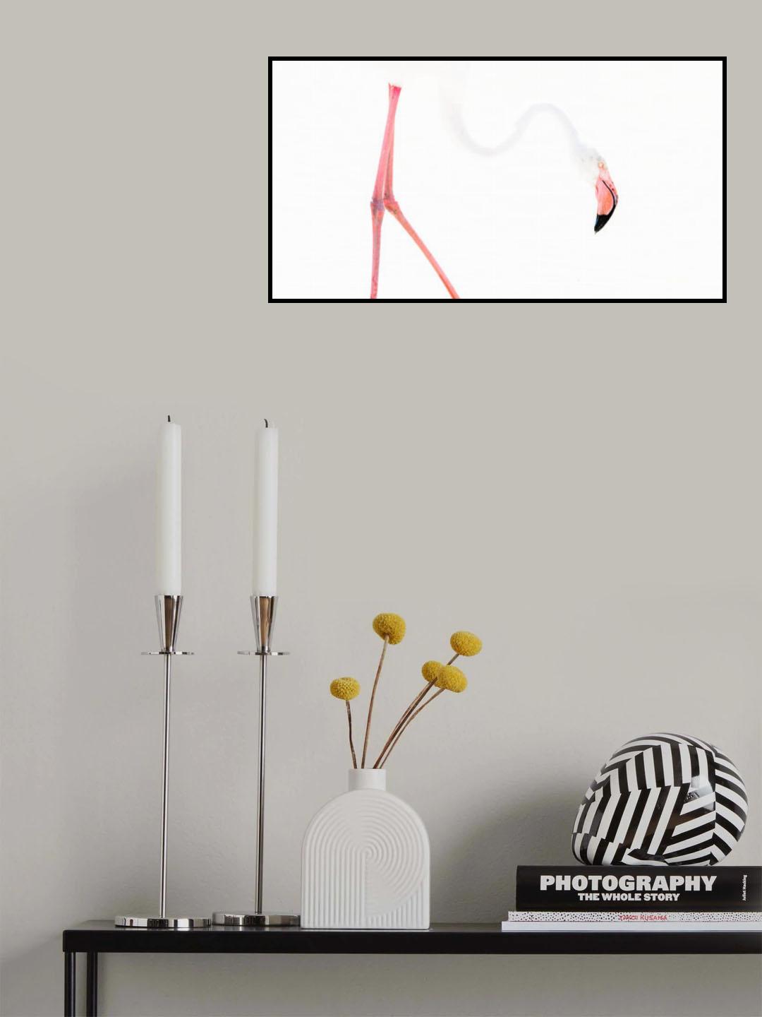 Flamingo graphics Poster och Canvastavla
