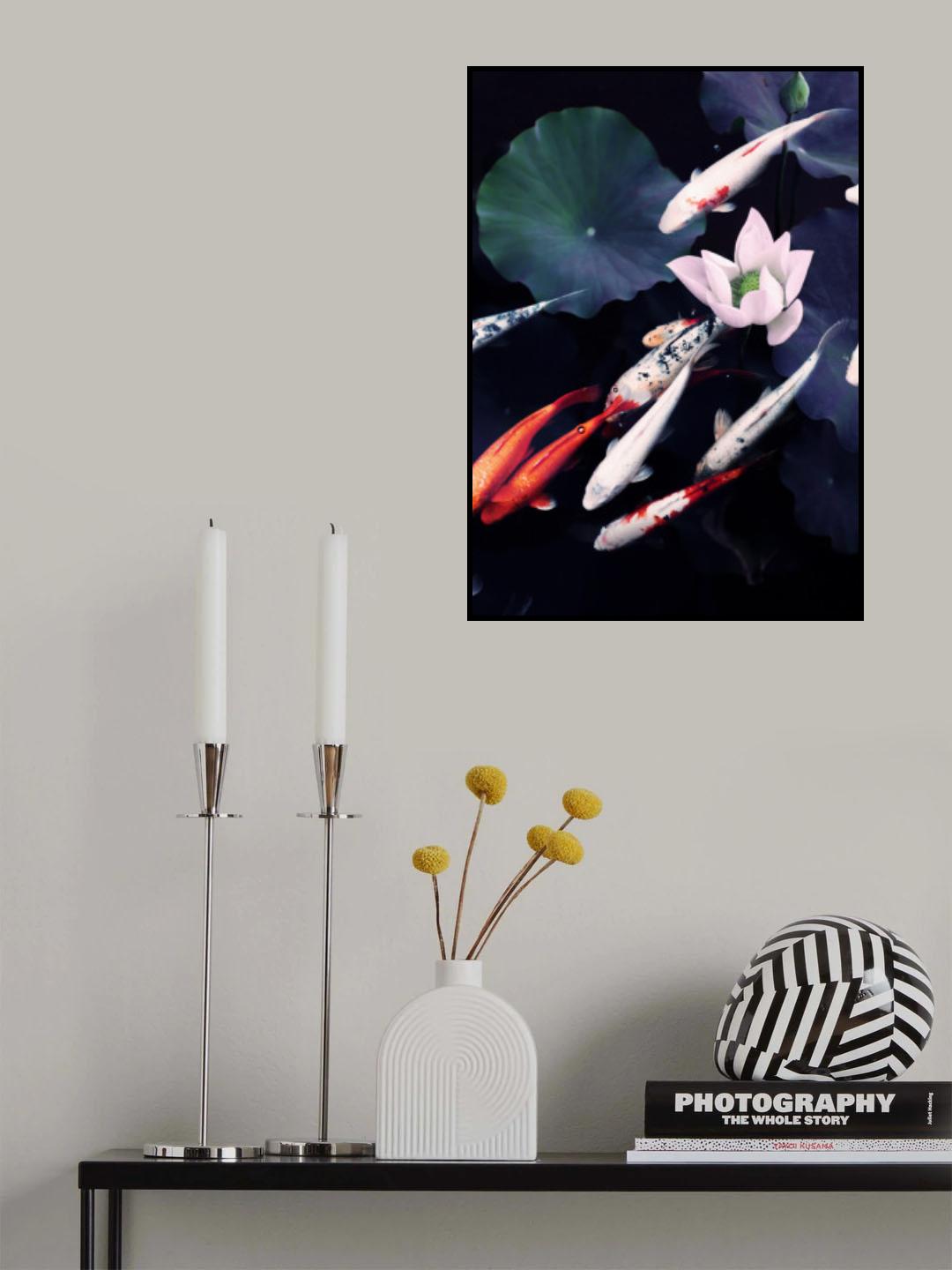 Koi Pond Poster och Canvastavla