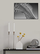 backbone Poster och Canvastavla