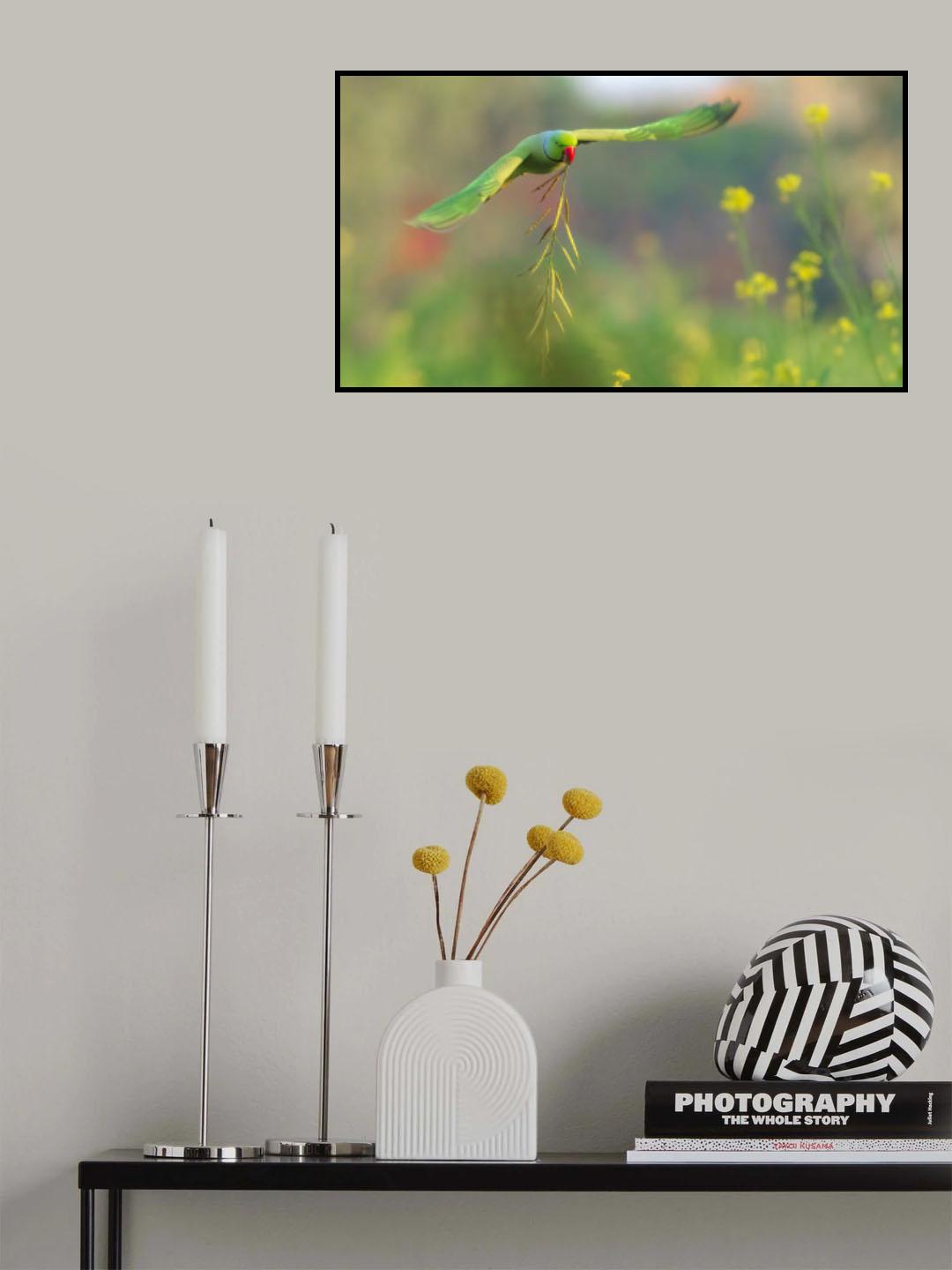 Parakeet flying with mustard stem Poster och Canvastavla