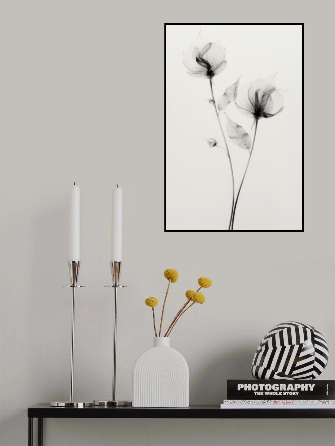 Transparent Botanic No 7 Poster och Canvastavla
