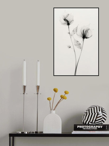 Transparent Botanic No 7 Poster och Canvastavla