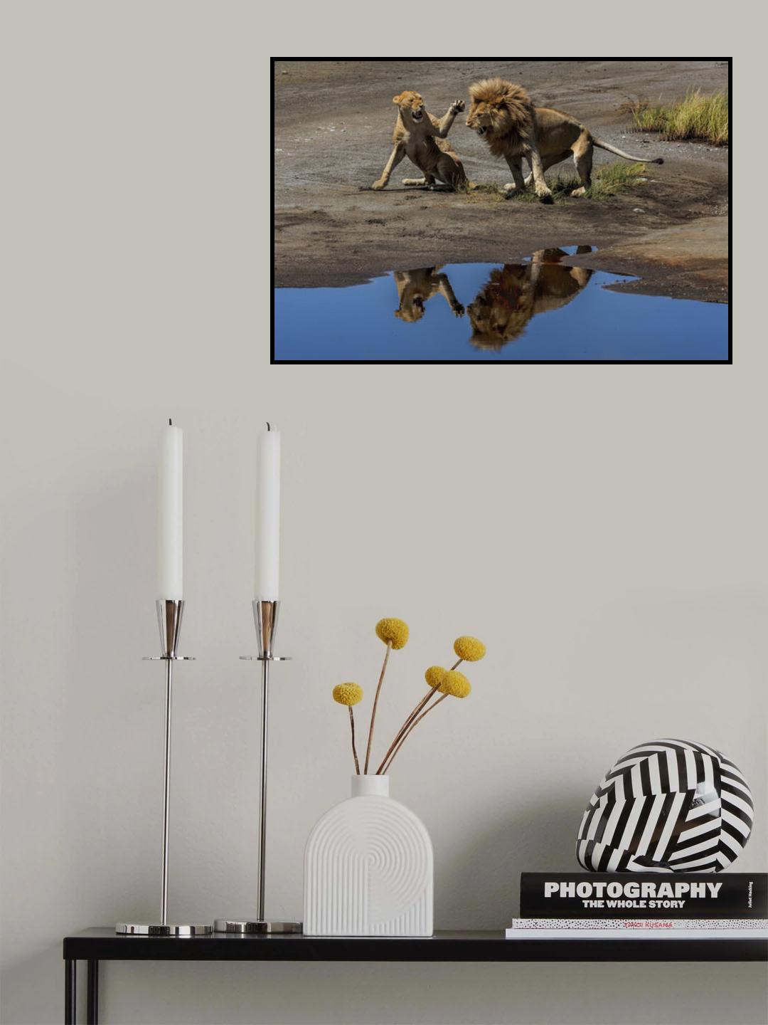 Reflections of love Poster och Canvastavla