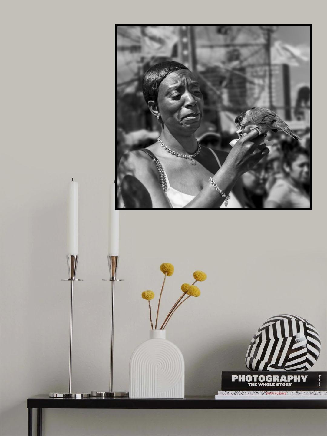 Coney Island Parrot Poster och Canvastavla