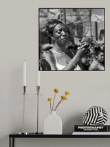 Coney Island Parrot Poster och Canvastavla