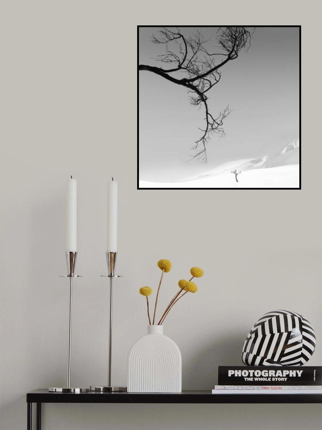 eegis Poster och Canvastavla
