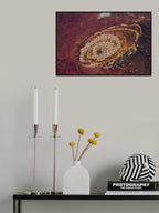 The home of flamingos (1) Poster och Canvastavla