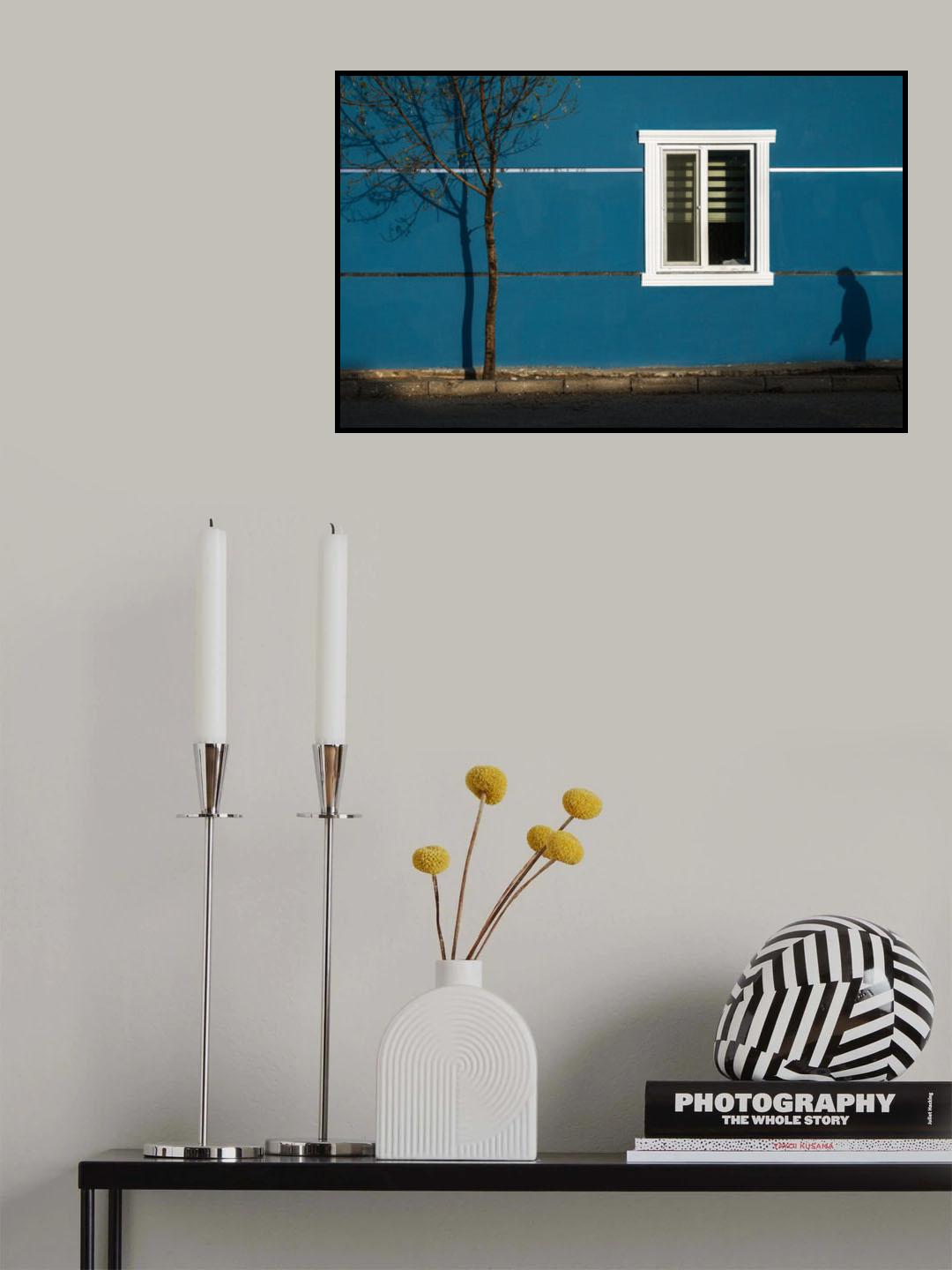 Shadow Poster och Canvastavla