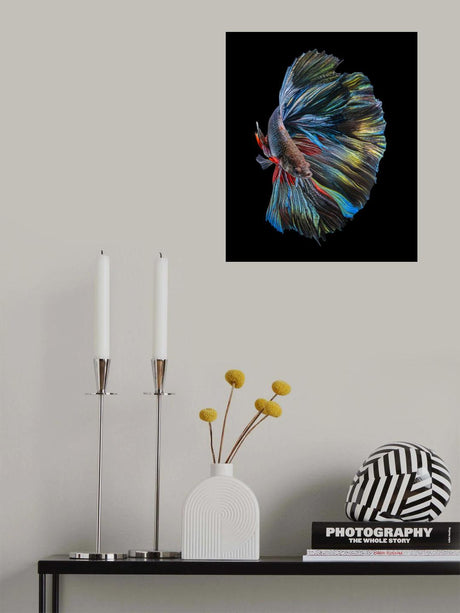 The  Betta Fish Poster och Canvastavla
