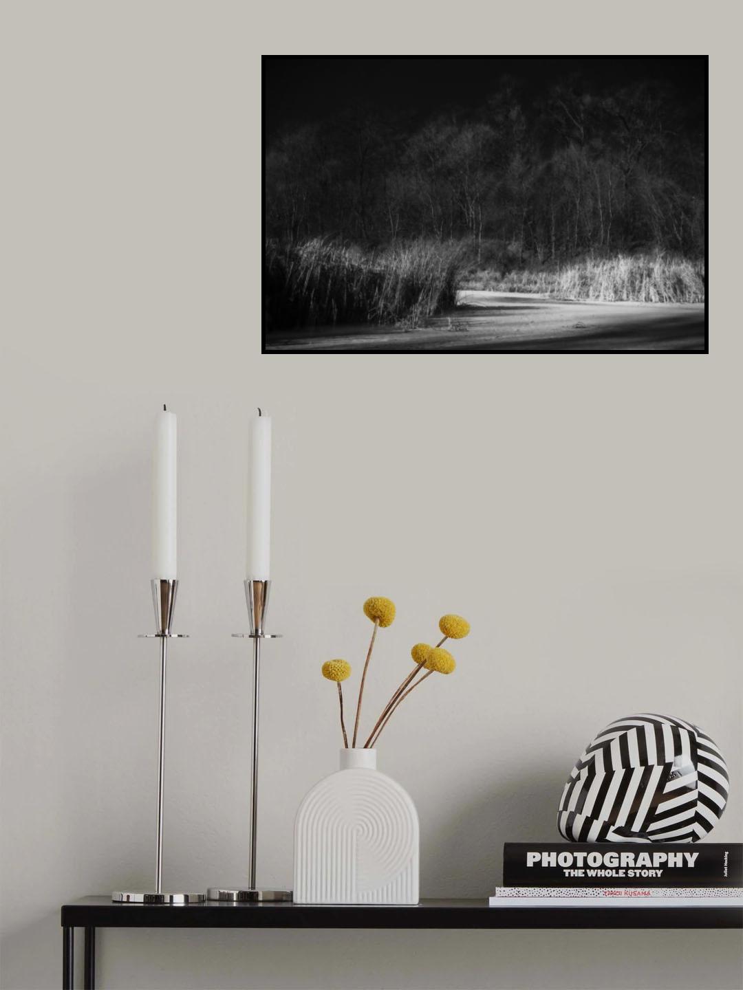 Poster och Canvastavla