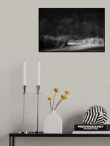 Poster och Canvastavla