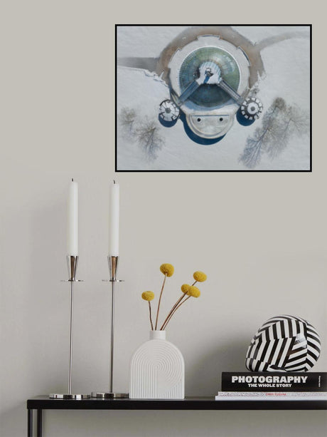 The White Turtle Poster och Canvastavla