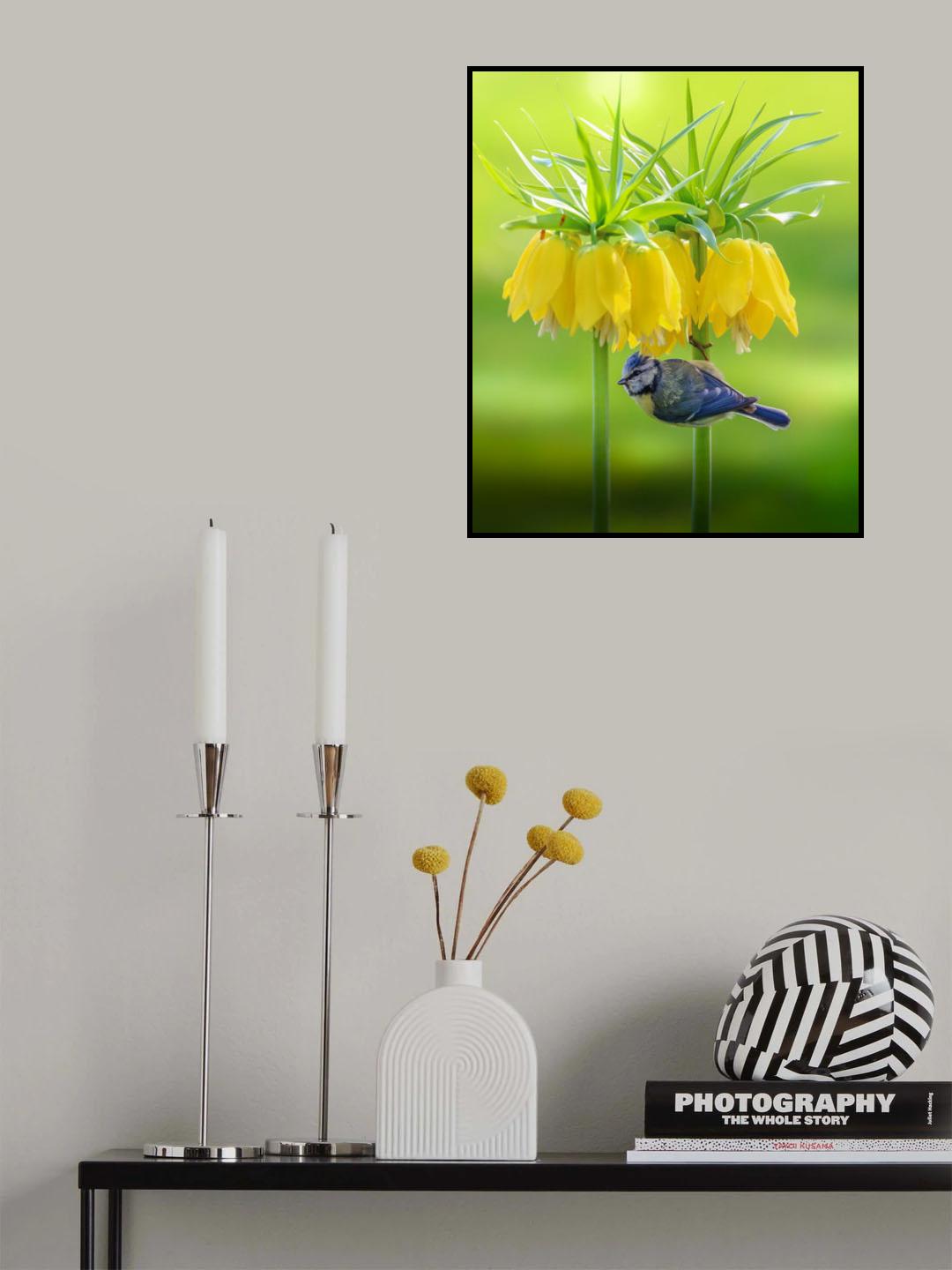 shady place Poster och Canvastavla