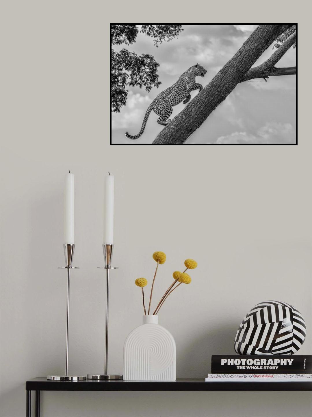 Climb Up Poster och Canvastavla