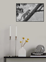 Climb Up Poster och Canvastavla