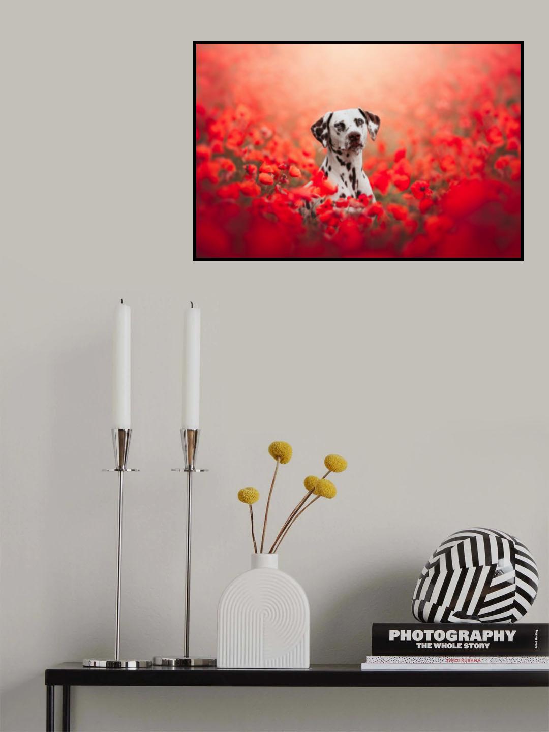 Poppy Poster och Canvastavla