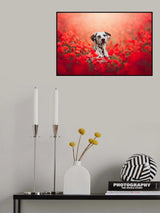 Poppy Poster och Canvastavla