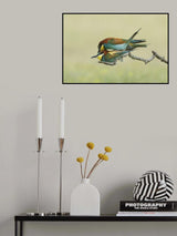 Making little Bee-eaters - 2 Poster och Canvastavla