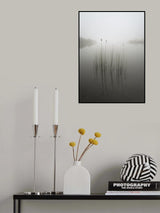 Reeds in the mist Poster och Canvastavla