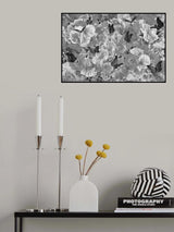 Summer Breeze Black &amp; White Poster och Canvastavla