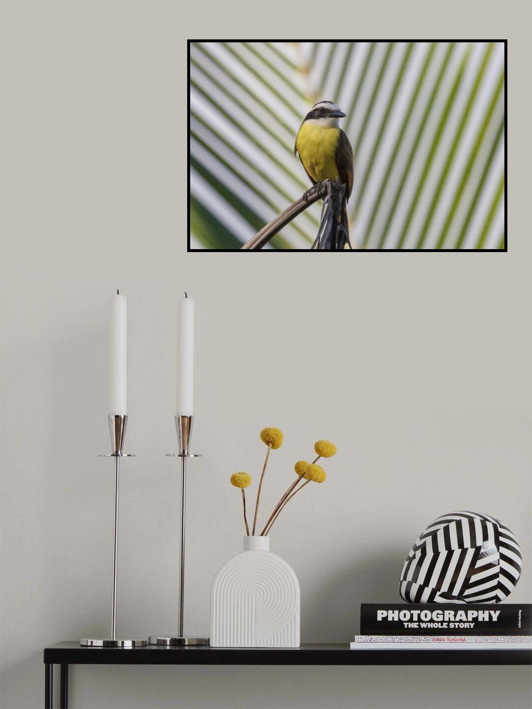 Guide lines. Poster och Canvastavla