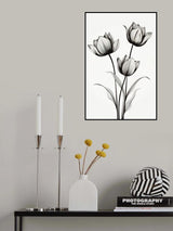 Black Tulips Poster och Canvastavla