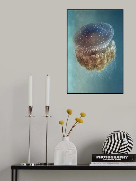 Jellyfish - Phylorhiza punctata Poster och Canvastavla
