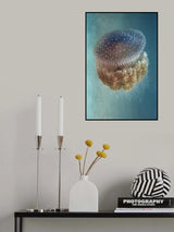 Jellyfish - Phylorhiza punctata Poster och Canvastavla