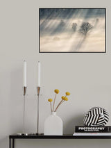SUNBEAMS Poster och Canvastavla
