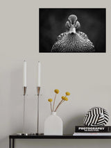 Look at me Poster och Canvastavla