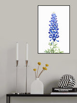 Watercolor Texas bluebonnet Poster och Canvastavla