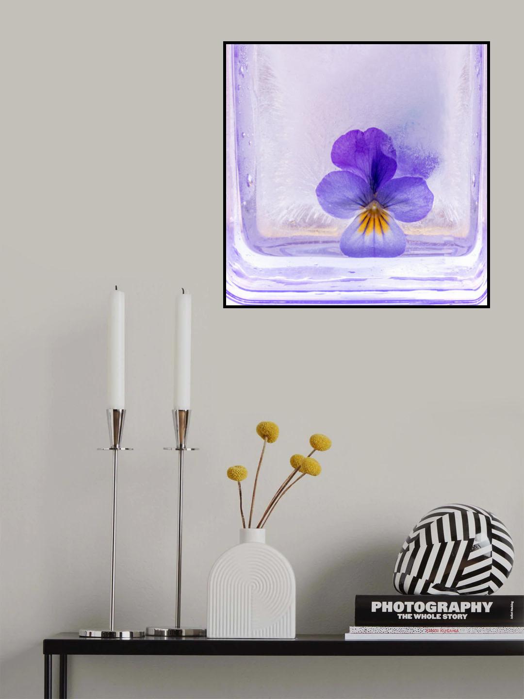 Frozen beauti Poster och Canvastavla